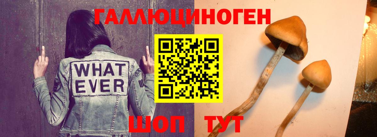 Псилоцибиновые грибы GOLDEN TEACHER  Вход с VPN  Галлюциногенные грибы мицелий  Орёл 